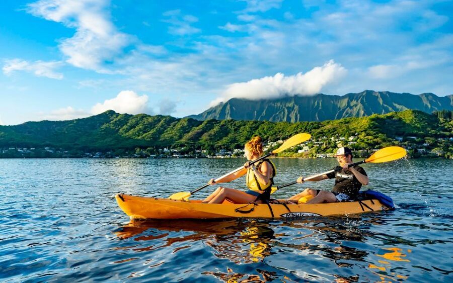 Oahu: Kaneohe Bay Coral Reef Kayaking Rental - Reef Hops at Your Own Pace: Swimming, Kayaking, and Exploring Nearby Areas