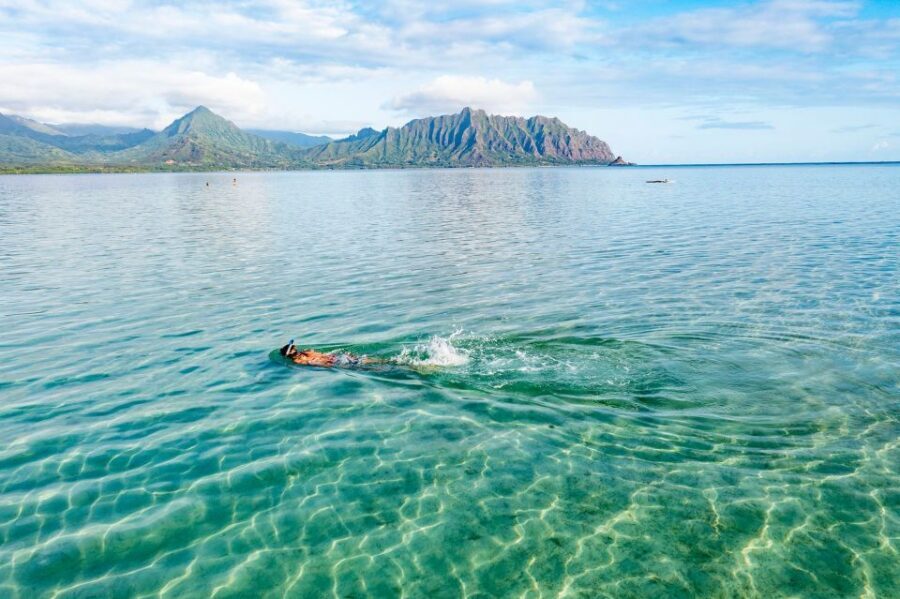 Oahu: Kaneohe Bay Coral Reef Kayaking Rental - Getting to the Meeting Point: Kailua Pickup and the Harbor Transfer