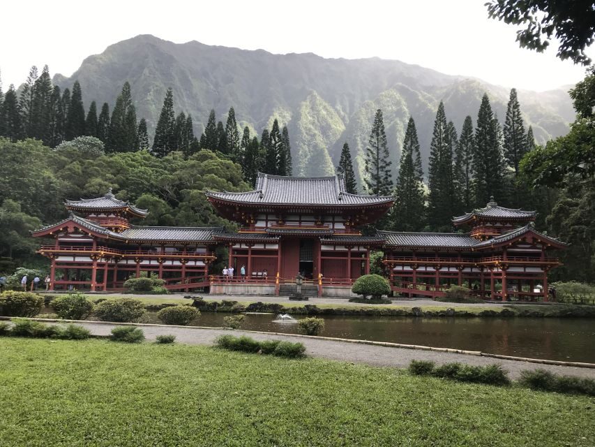 Oahu: Manoa Falls Hike and east side beach day - Key things you’ll notice