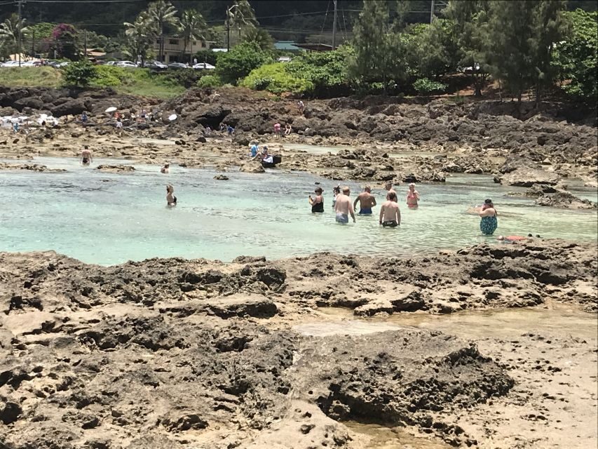 Oahu: Manoa Falls Hike and east side beach day - Kailua Beach Park: Calm Water Time and a Better Chance at Wildlife
