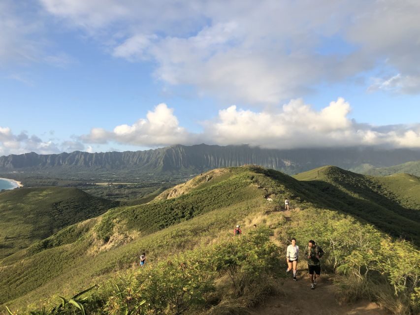 Oahu: Manoa Falls Hike and east side beach day - Mercedes Van Pickup and a Small-Group Day That Doesn’t Feel Rushed