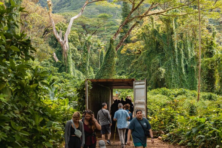 Oahu: Manoa Falls Waterfall Hike with Lunch and Transfers - The 1.6-mile trail: what to expect when it’s wet, muddy, and uneven