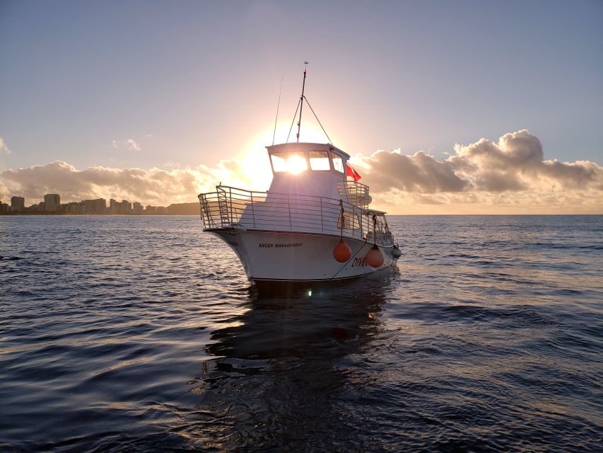 Oahu Night Dive: Adventure for Certified Divers - Key highlights that make this night outing worth it