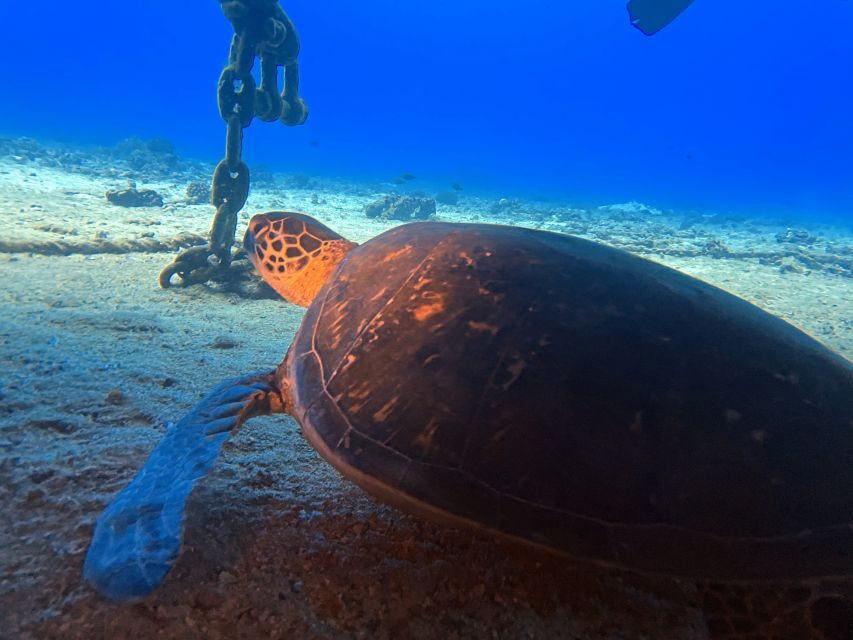 Oahu Night Dive: Adventure for Certified Divers - The gear bundle: what’s included and why it’s a real value