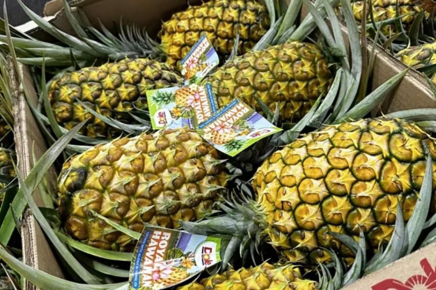 Oahu: North Shore Dole Pineapple Farm Tour - Key things I’d watch for before you go