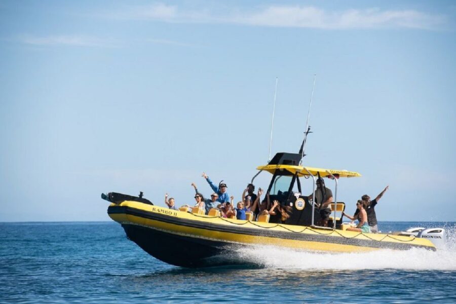 Oahu: North Shore Haleʻiwa: Private Boat Charter - The 1.5-hour North Shore cruise: dolphins, turtles, sharks, and maybe more