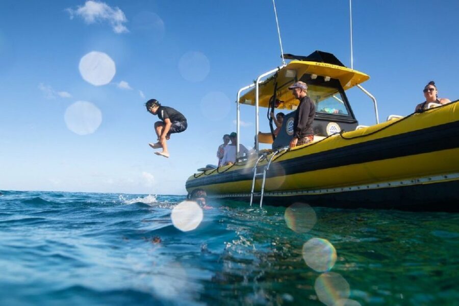 Oahu: North Shore Haleʻiwa: Private Boat Charter - The snorkeling stop in a marine life sanctuary: what’s included and how to make it work