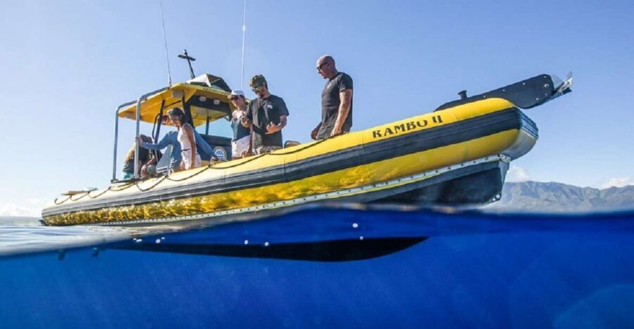 Oahu: North Shore Haleʻiwa: Private Boat Charter - Who this charter suits best on Oahu’s North Shore