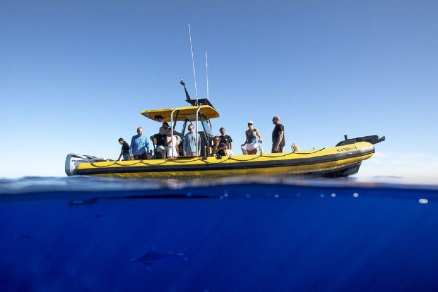 Oahu: North Shore Haleʻiwa: Private Boat Charter - Small planning tips that will make your trip smoother