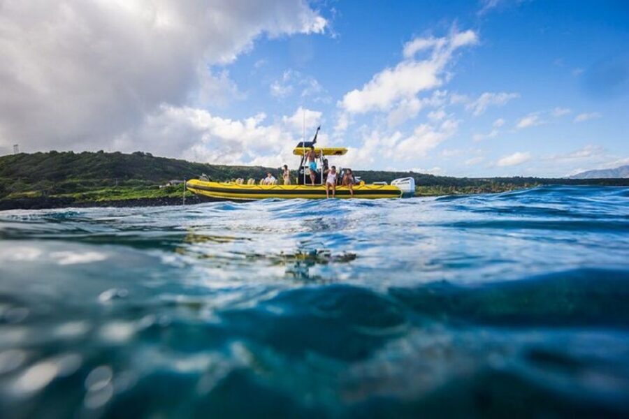 Oahu: North Shore Marine Life Tour from Haleiwa - What the 90 Minutes Feels Like on a Small, Agile Boat