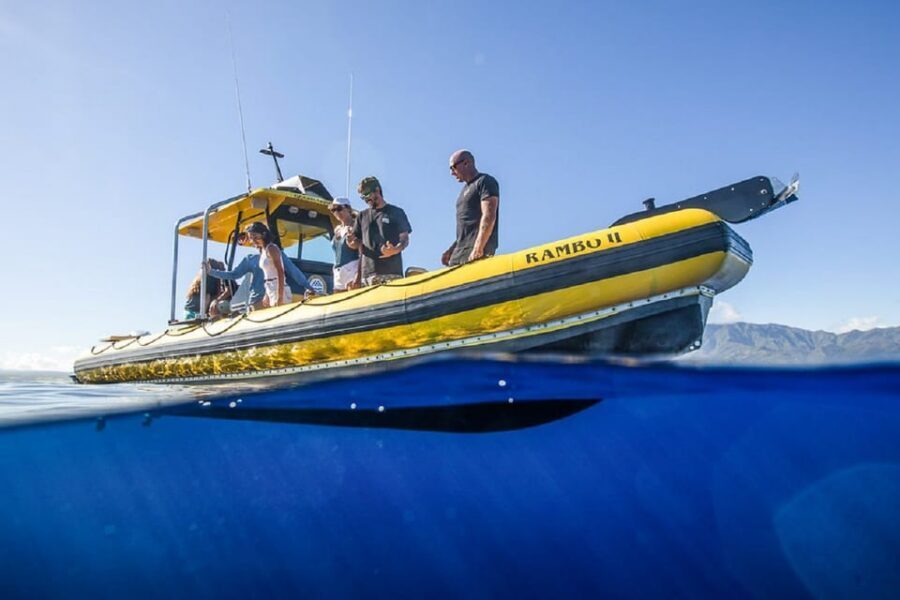 Oahu: North Shore Snorkeling Tour from Haleiwa - The snorkel plan: a secluded spot, not a crowded cattle chute