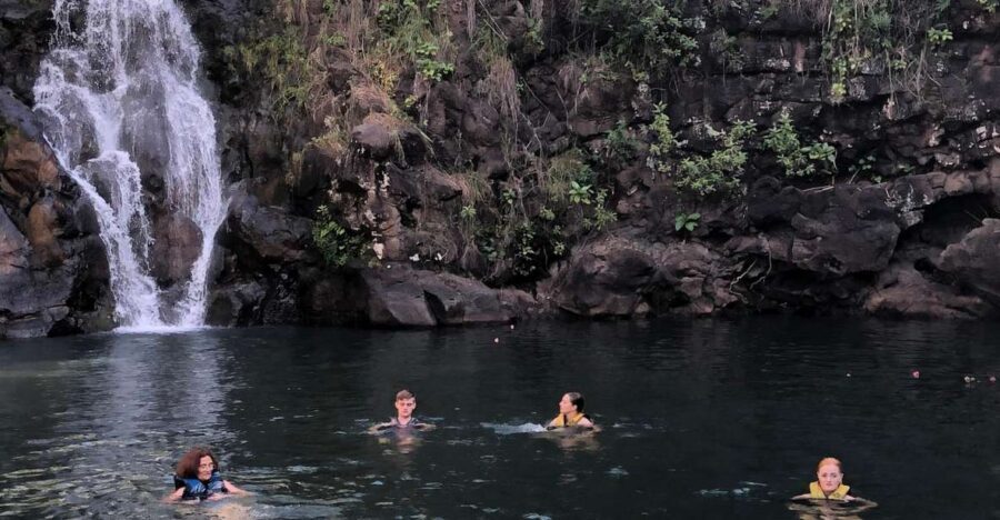 Oahu: North Shore Waterfall Swim - Hawaiian Green Sea Turtles: What to Look For (and Why the Guide Matters)
