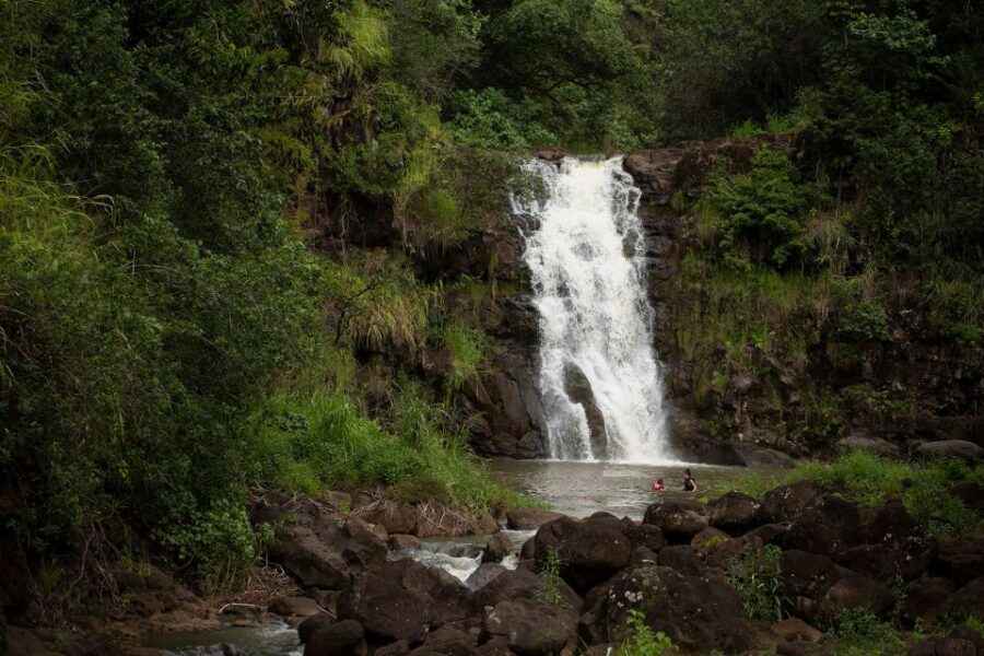 Oahu: North Shore Waterfall Swim - Waimea Valley Botanical Garden: The 1-Mile Walk You Should Plan For