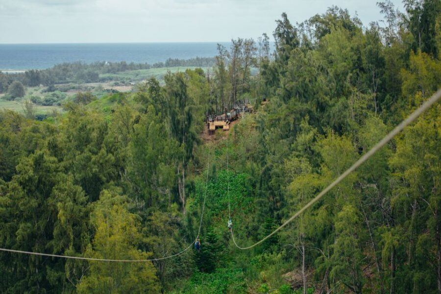 Oahu: North Shore Zip Line Adventure with ATV and Farm Tour - Sky bridges, boardwalks, rappels, and the floating stair-case