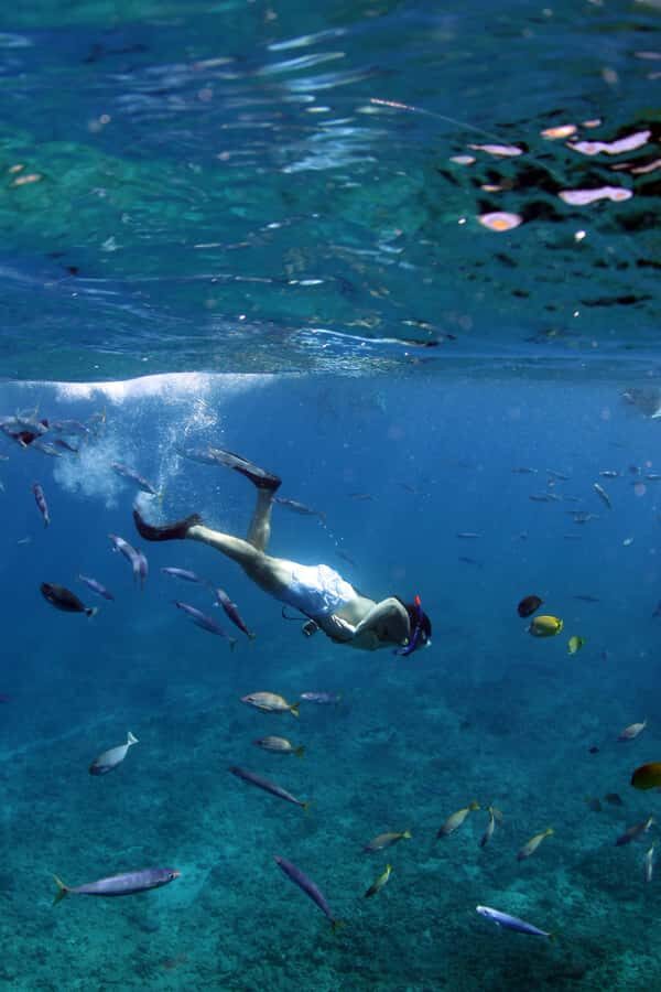 Oahu: Off road Stand-Up ATV and Sunset Snorkel Cruise - Key Points to Know Before You Go