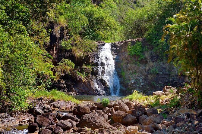 Oahu Personalized Private North Shore Highlight Custom Tour - The Big Idea: A Private North Shore Oahu Day You Can Shape