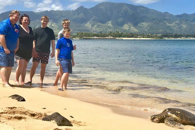 Oahu Personalized Private North Shore Highlight Custom Tour - Aloha Stadium Swap Meet: A Fun Local Market Add-On (Not Every Day)