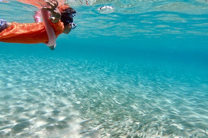 Oahu Personalized Private North Shore Highlight Custom Tour - How Long Should You Book: 6 to 12 Hours That Match Your Energy