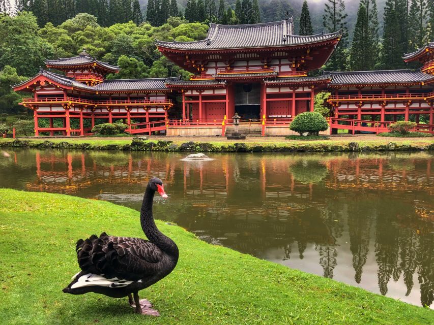 Oahu: Private Best of Oahu Sightseeing Tour - No-Rush Timing That Actually Makes Photos and Memories Better