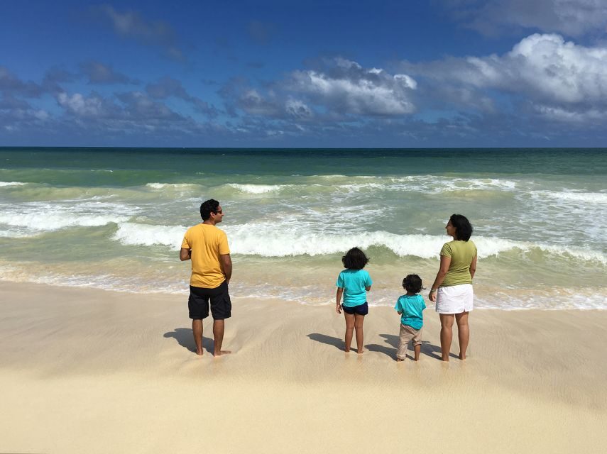 Oahu: Private Best of Oahu Sightseeing Tour - The Stops That Make the Day Work: Cliffs, Beaches, and One Temple Break