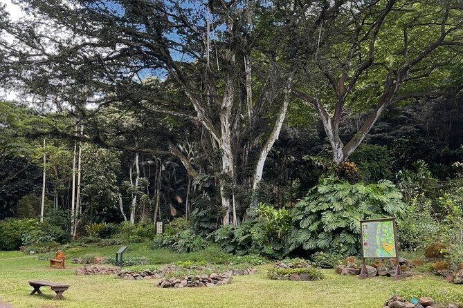 Oahu Private Tour North Shore, Waimea Falls and Dole Plantation - Waimea Falls: the walk, the payoff, and the extra fee