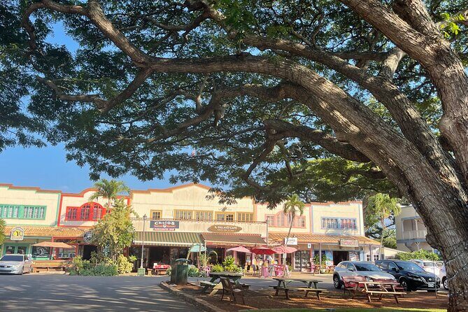 Oahu Private Tour North Shore, Waimea Falls and Dole Plantation - Sunset Beach and North Shore surf views: what to actually look for