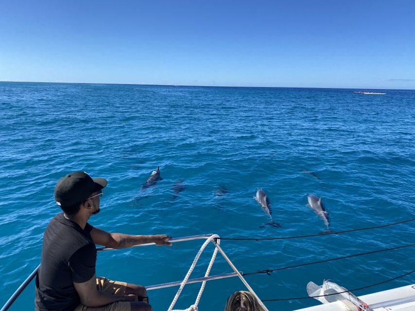 Oahu: Private Turtle Snorkeling with Customizable Itinerary - Rain, Open Water, and Motion: How to Prep Like a Pro