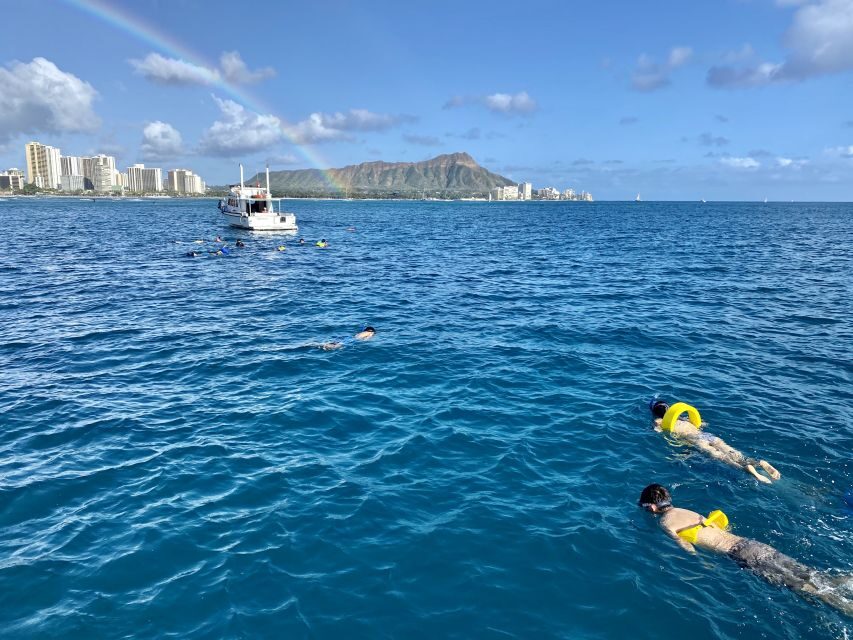 Oahu: Private Turtle Snorkeling with Customizable Itinerary - Private Turtle Snorkeling From Kewalo Basin: What You’re Really Buying