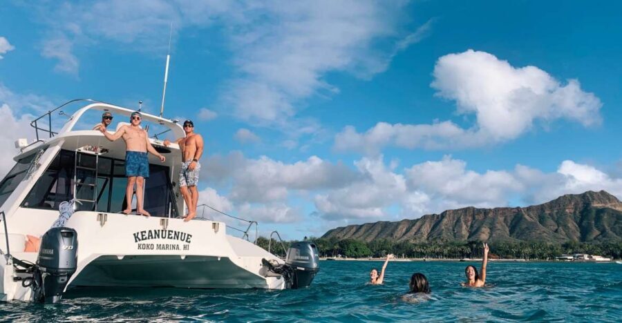 Oahu: Private Turtle Snorkeling with Customizable Itinerary - Waikiki Wildlife Viewing: When Luck Adds Dolphins or Whales