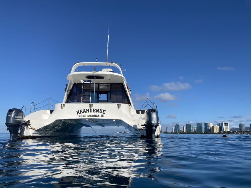Oahu: Private Turtle Snorkeling with Customizable Itinerary - Customizable Charter Details: Music, Food, and a Route That Fits You
