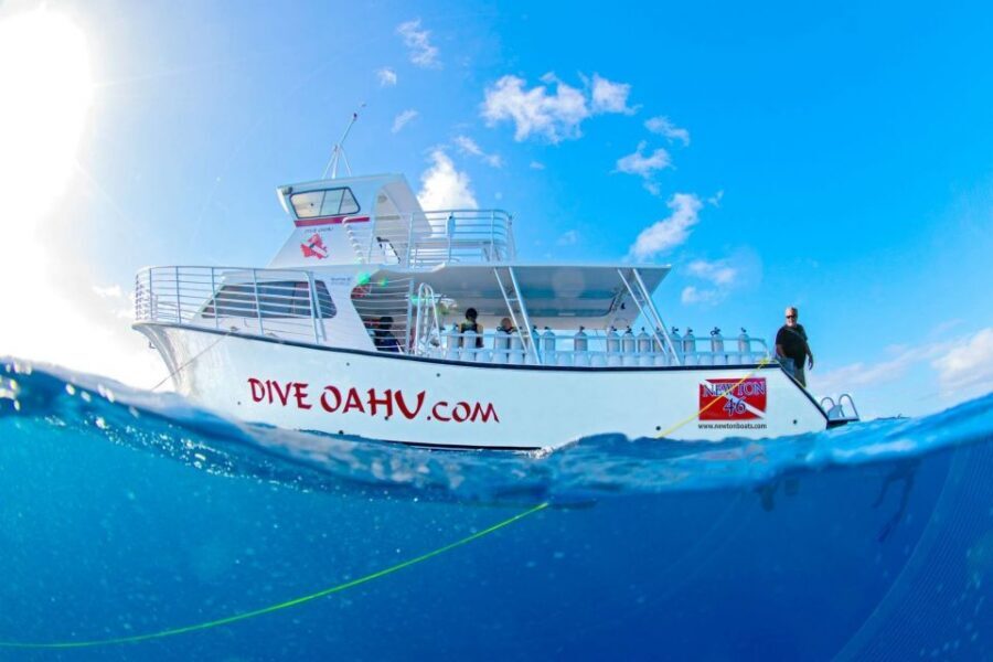 Oahu: Shallow Reef Scuba Dive for Certified Divers - The 25-Minute Safety Briefing: The Part People Skip in Their Heads