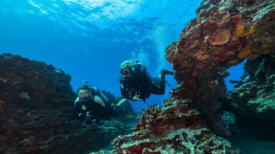 Oahu: Shallow Reef Scuba Dive for Certified Divers - Who Should Book This Shallow-Reef Scuba Session