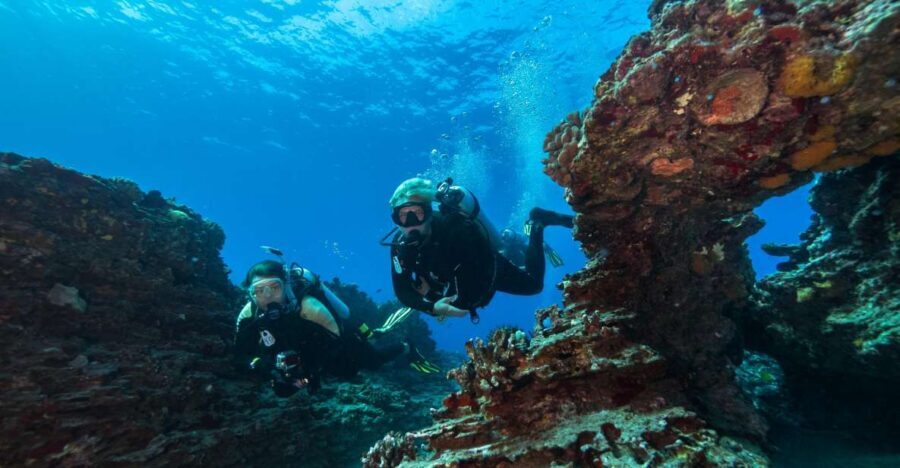Oahu: Shallow Reef Scuba Dive for Certified Divers - Where You Meet: Ala Moana and Getting There Without Stress