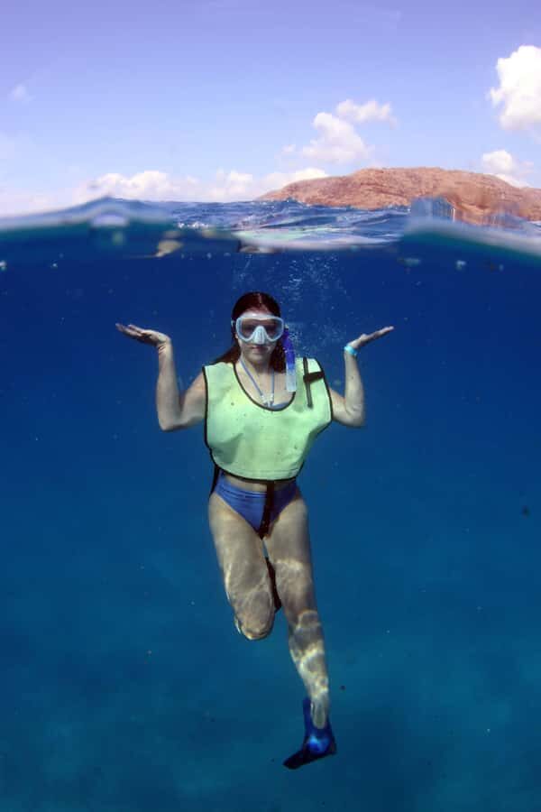 Oahu: Snorkeling & Dolphin Watch Cruise with Hawaiian Buffet - Key reasons this cruise works