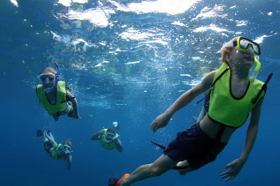 Oahu: Snorkeling & Dolphin Watch Cruise with Hawaiian Buffet - Snorkeling with turtles: how your water time usually works