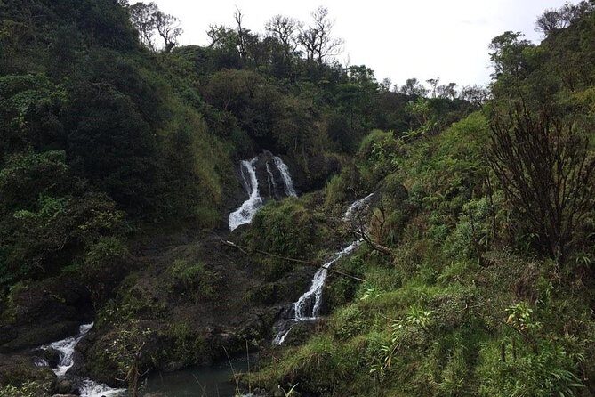 Oahu to Maui 1 Day Trip : Road to Hana Day Trip from Oahu with Air Ticket - Flying Oahu to Maui for One Big Road to Hana Day