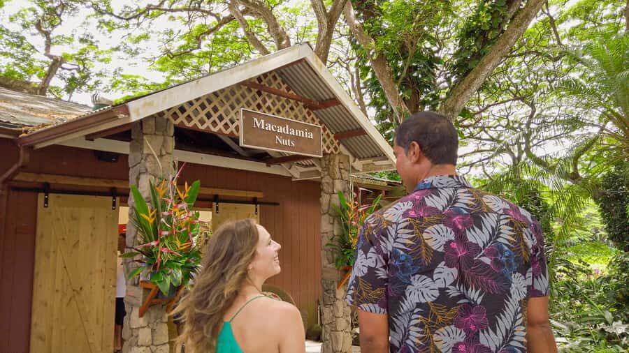 Oahu: Ultimate Pearl Harbor and Circle Island Tour - North Shore Surf Spots: Sunset Beach, Waimea Bay, Banzai Pipeline, and Photo Moments