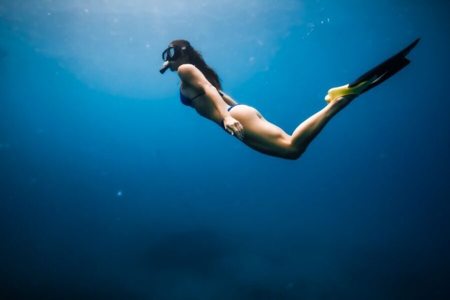 Oahu: Waikiki Turtle Snorkeling Adventure - The 150-minute rhythm: how the day usually flows