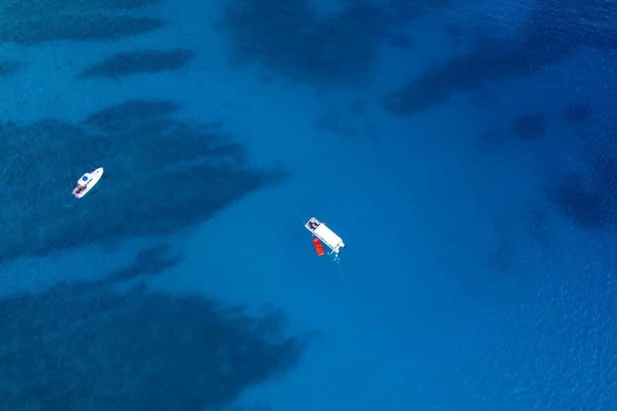 Oahu: Waikiki Whale Watch Boat Tour - Key things I’d watch for on this Waikiki whale watch