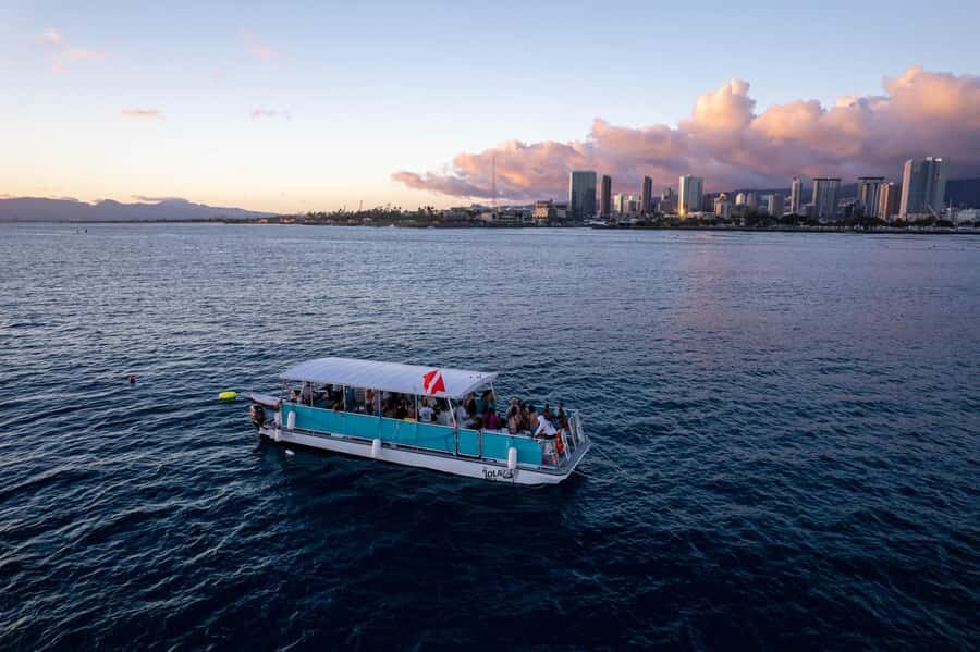 Oahu: Waikiki Whale Watch Boat Tour - What you’ll see on the ride out: Waikiki shoreline and Diamond Head