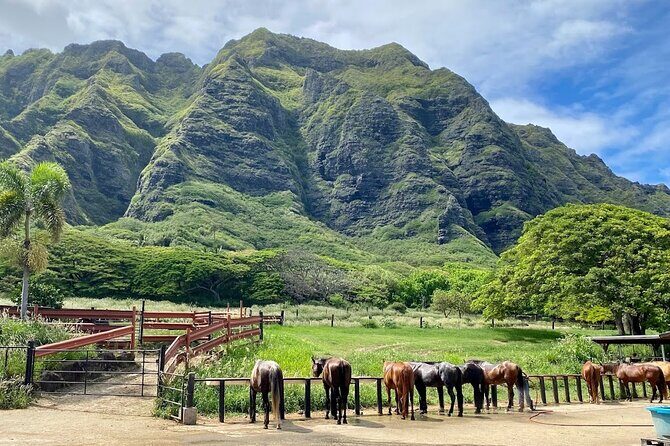 Oahu's Fun and Foodie Tour Groups of 5 or more Only! - Halona Blowhole and Makapu’u: Ocean Views With a Geology Story