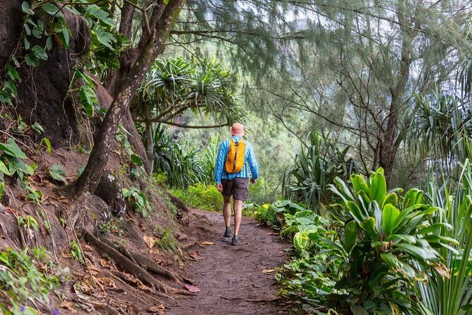 Oahu's North Shore Self-Guided Audio Tour - Key Things I’d Plan Around First