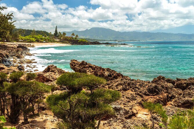 Oahu's North Shore Self-Guided Audio Tour - The Biggest Strengths (What You’ll Most Likely Enjoy)