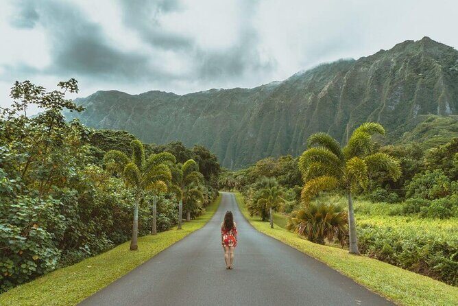 Oahu's North Shore Self-Guided Audio Tour - Should You Book This Oahu North Shore Audio Tour?