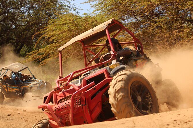 Off-Road ATV Adventure with Roundtrip Shuttle from Waikiki - Waikiki Pickup And Coral Crater Arrival: How the Day Starts