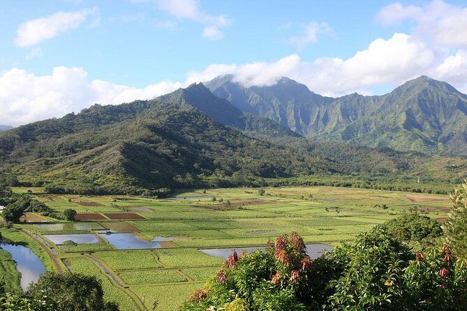 One-Day Tour Hawaii Movie Tour: Island Hopping from Oahu to Kauai - Oahu to Kauai by air: why the day starts so early