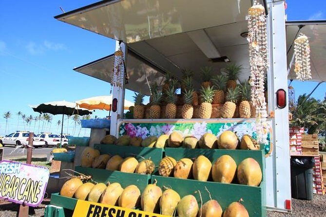 One-Day Tour Hawaii Movie Tour: Island Hopping from Oahu to Kauai - Opaekaa Falls plus the epic adventure movie stop list