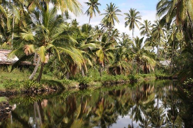 One-Day Tour Hawaii Movie Tour: Island Hopping from Oahu to Kauai - Wailua Falls: where multiple generations of films share the same backdrop