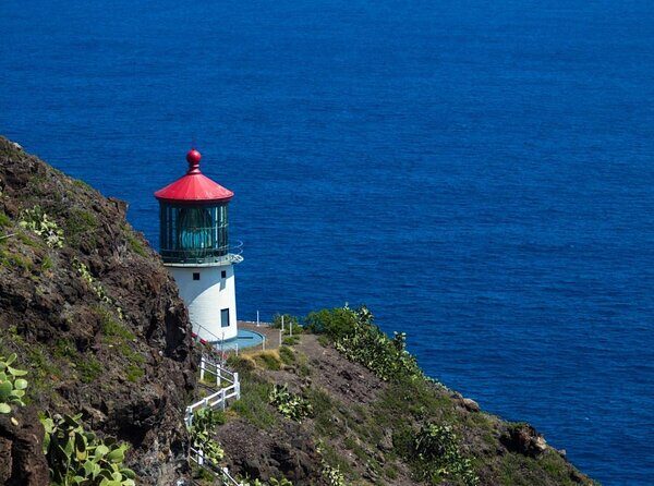 Private 5Hrs Island Tour with 2Hrs Sail and Snorkel with Turtles - Key Things You’ll Like Most About This Oahu Tour