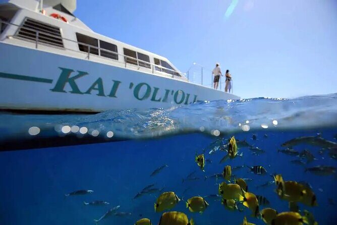 Private and Luxurious Sunset Cruise with Whale & Dolphin Watch - Key highlights from this Ko Olina sunset cruise
